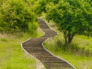 Preview wallpaper steps, wooden, grass, tree