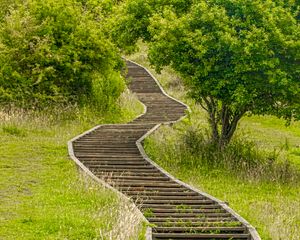 Preview wallpaper steps, wooden, grass, tree