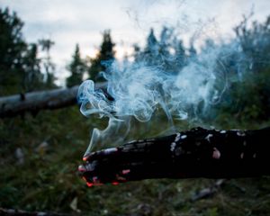 Preview wallpaper stick, coal, smoke