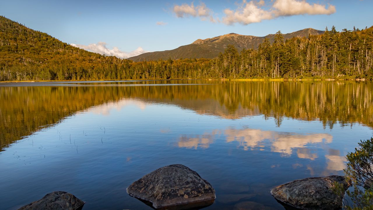 Wallpaper stone, lake, forest, trees, nature