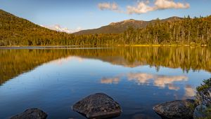 Preview wallpaper stone, lake, forest, trees, nature