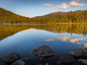 Preview wallpaper stone, lake, forest, trees, nature