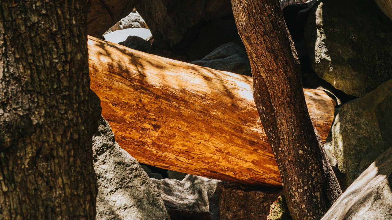 Wallpaper stone, logs, wooden, texture