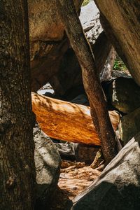 Preview wallpaper stone, logs, wooden, texture