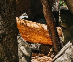 Preview wallpaper stone, logs, wooden, texture