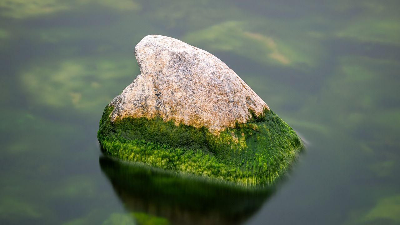 Wallpaper stone, moss, water