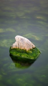 Preview wallpaper stone, moss, water