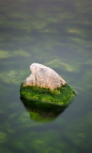 Preview wallpaper stone, moss, water