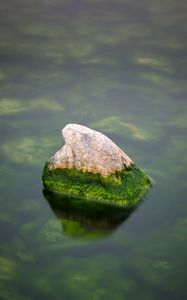 Preview wallpaper stone, moss, water