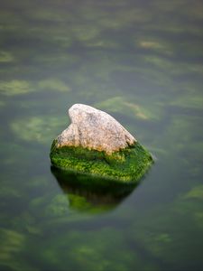 Preview wallpaper stone, moss, water