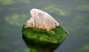 Preview wallpaper stone, moss, water