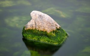 Preview wallpaper stone, moss, water