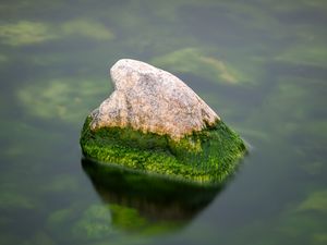 Preview wallpaper stone, moss, water