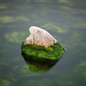 Preview wallpaper stone, moss, water