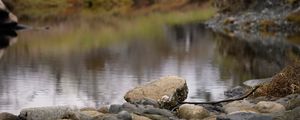 Preview wallpaper stone, pond, blur, landscape, nature