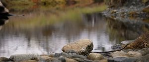 Preview wallpaper stone, pond, blur, landscape, nature