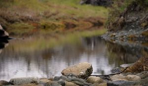 Preview wallpaper stone, pond, blur, landscape, nature