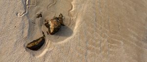 Preview wallpaper stone, sand, beach