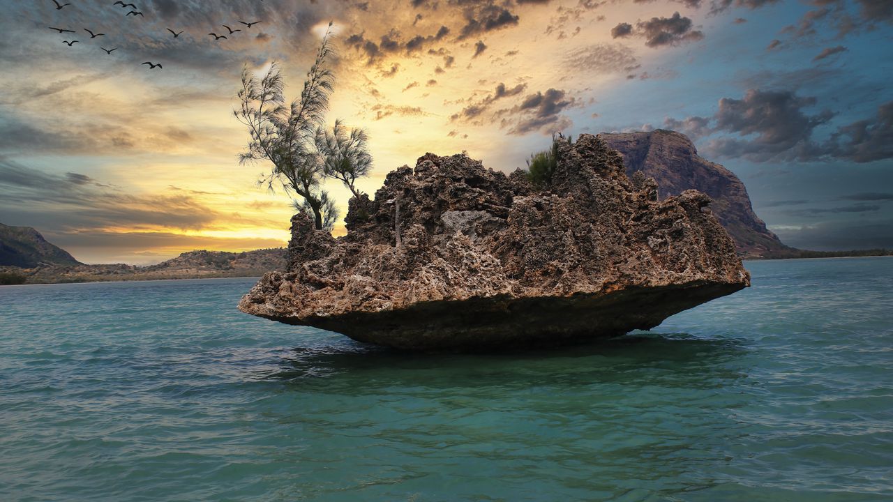 Wallpaper stone, sea, trees, sky, nature