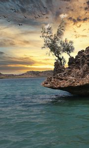 Preview wallpaper stone, sea, trees, sky, nature