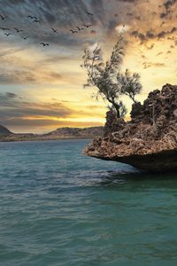 Preview wallpaper stone, sea, trees, sky, nature