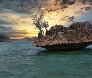 Preview wallpaper stone, sea, trees, sky, nature