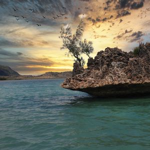 Preview wallpaper stone, sea, trees, sky, nature