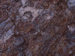 Preview wallpaper stone, stony, surface, texture