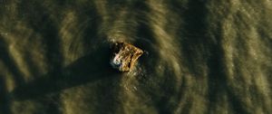 Preview wallpaper stone, water, waves, aerial view, wavy, ripples