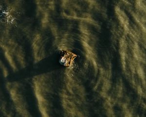 Preview wallpaper stone, water, waves, aerial view, wavy, ripples