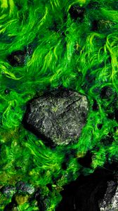 Preview wallpaper stones, algae, moss, water