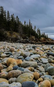 Preview wallpaper stones, beach, forest, spruce