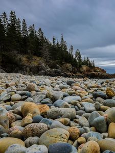 Preview wallpaper stones, beach, forest, spruce