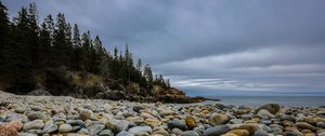 Preview wallpaper stones, beach, forest, spruce