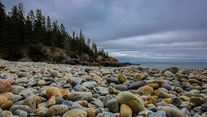 Preview wallpaper stones, beach, forest, spruce