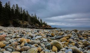 Preview wallpaper stones, beach, forest, spruce