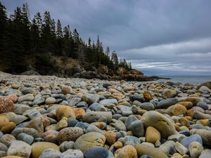 Preview wallpaper stones, beach, forest, spruce