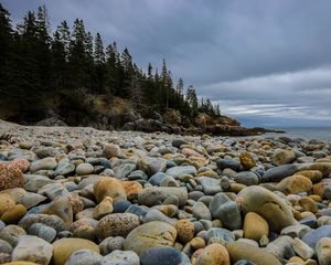 Preview wallpaper stones, beach, forest, spruce