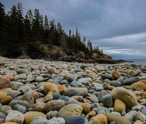 Preview wallpaper stones, beach, forest, spruce