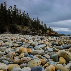 Preview wallpaper stones, beach, forest, spruce