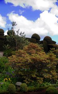 Preview wallpaper stones, beautiful, park, grass