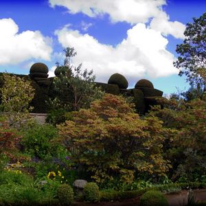 Preview wallpaper stones, beautiful, park, grass