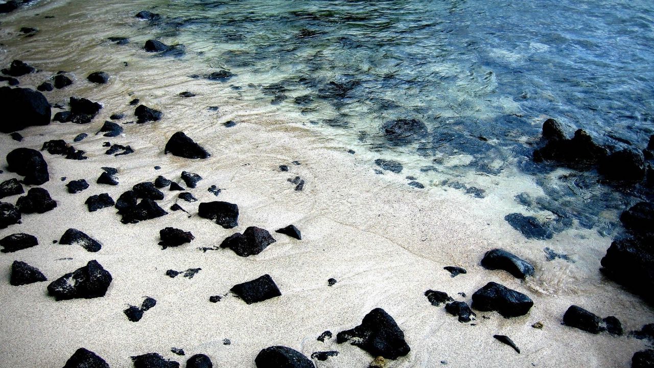 Wallpaper stones, black, protected, water, sand