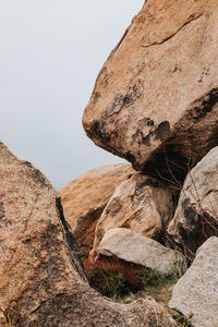 Preview wallpaper stones, blocks, rocks, branch