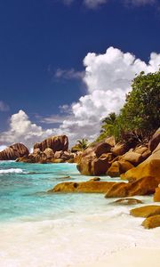 Preview wallpaper stones, boulders, coast, beach, blue water, palm trees, tropics