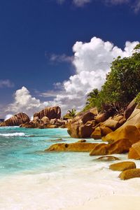 Preview wallpaper stones, boulders, coast, beach, blue water, palm trees, tropics