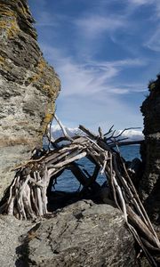 Preview wallpaper stones, branches, logs, sea