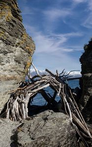 Preview wallpaper stones, branches, logs, sea