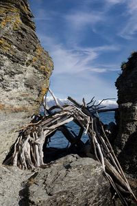 Preview wallpaper stones, branches, logs, sea