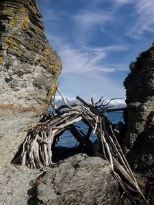 Preview wallpaper stones, branches, logs, sea
